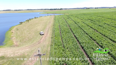 TREM TOP SORGO.00_00_52_06.Quadro019_c5ed9b16afd76b04a246c690c512d5d699ff2630.png